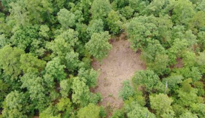 Owner Financed Hunting and Recreational Land in Missouri and Arkansas