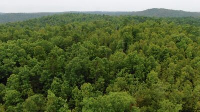 Owner Financed Hunting and Recreational Land in Missouri and Arkansas