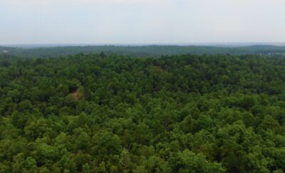 Owner Financed Hunting and Recreational Land in Missouri and Arkansas