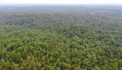 Owner Financed Hunting and Recreational Land in Missouri and Arkansas