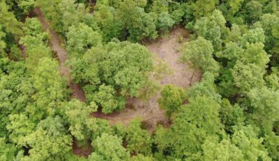Owner Financed Hunting and Recreational Land in Missouri and Arkansas