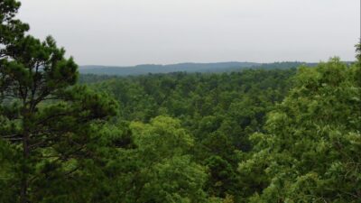 Owner Financed Hunting and Recreational Land in Missouri and Arkansas