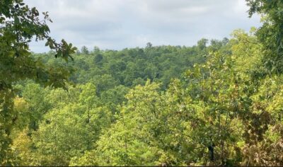 Owner Financed Hunting and Recreational Land in Missouri and Arkansas