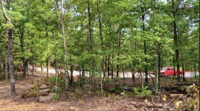 Owner Financed Hunting and Recreational Land in Missouri and Arkansas